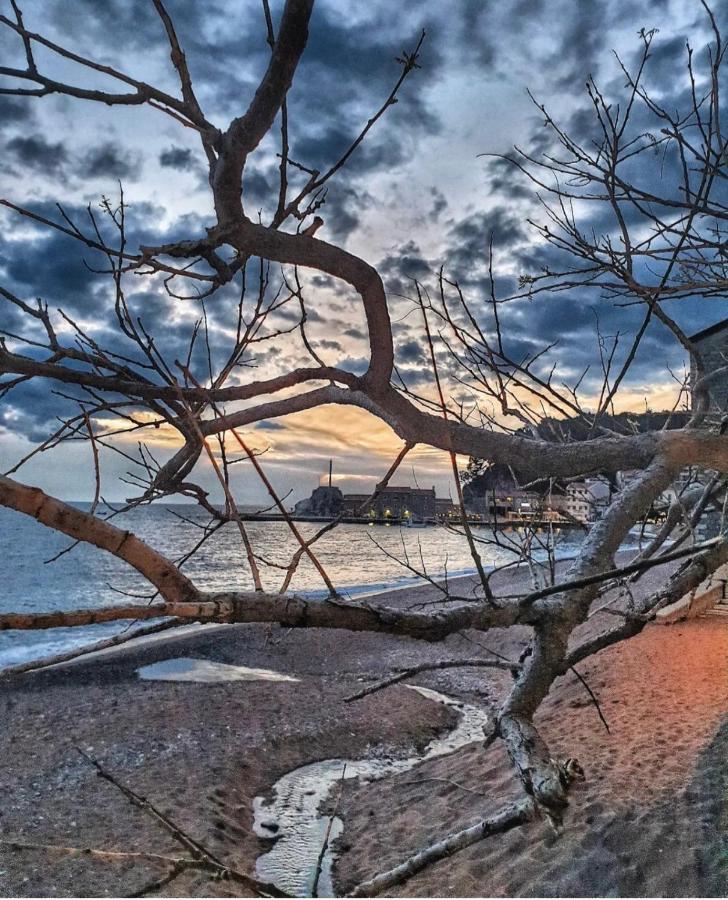 شقة Vista Petrovac المظهر الخارجي الصورة